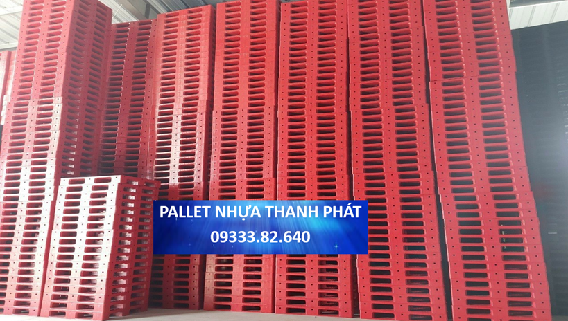 Cà Mau - Pallet nhựa sử dụng cho kho lạnh 2024