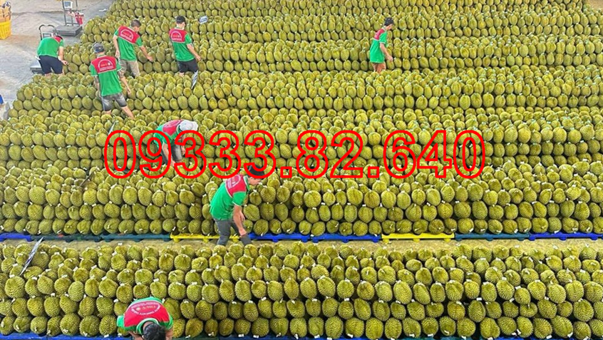 https://palletlotsan.com/tim-mua-pallet-nhua-cu-gia-tot-tai-binh-phuoc.html