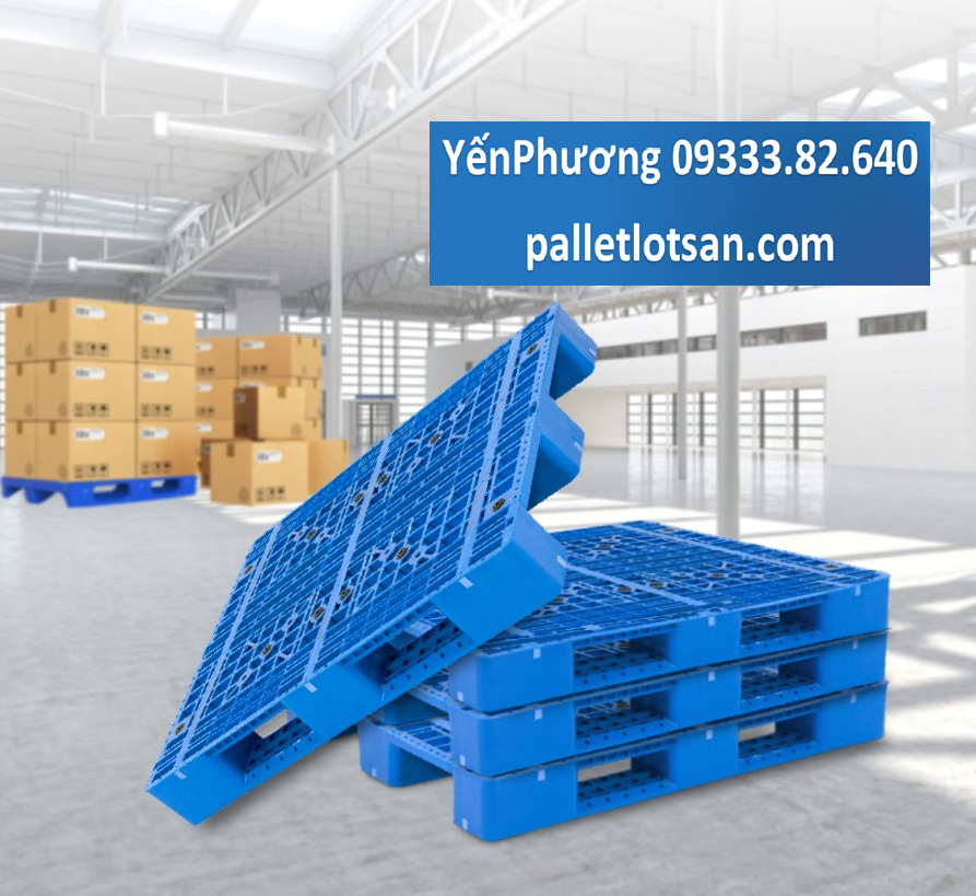 Cà Mau - Pallet nhựa sử dụng cho kho lạnh 2024