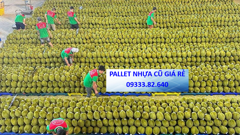 Pallet Nhựa Thống Nhất – Ưu Đãi Sập Sàn Trong Mùa Hè