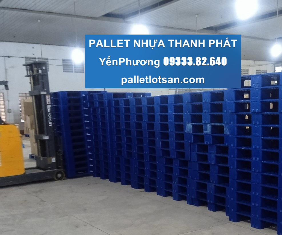 Cà Mau - Pallet nhựa sử dụng cho kho lạnh 2024